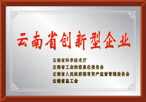  云南省创新型试点企业 