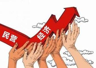  省级民营经济发展专项资金 