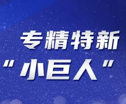  专精特新“小巨人”企业认定标准 