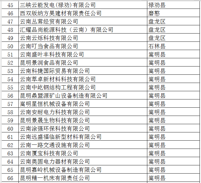 2025年市规模以上工业企业培育奖励资金(图3)