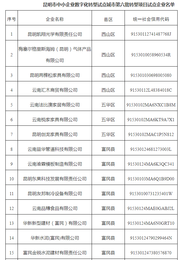 市中小企业数字化转型试点城市第六批名单(图1)