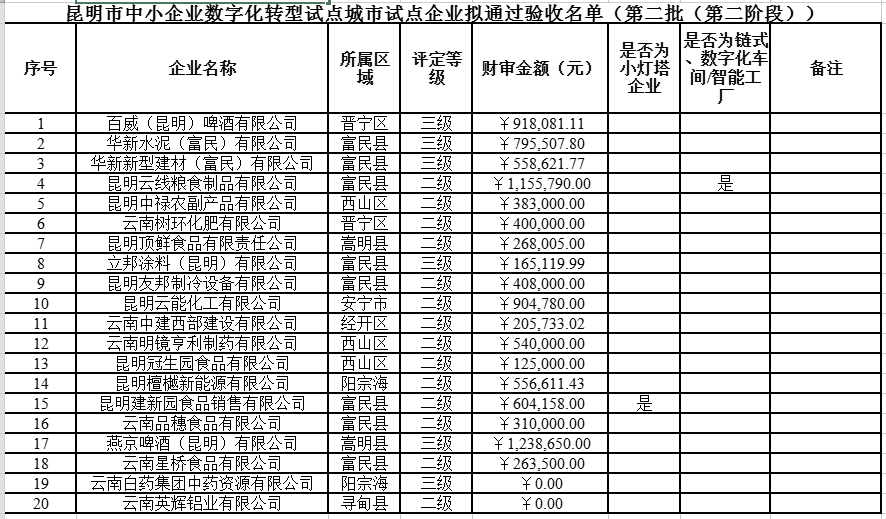 市中小企业数字化转型试点企业拟名单（第二批第二阶段）(图1)